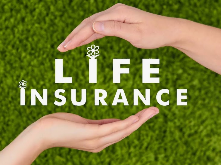 Selectquote Life Insurance